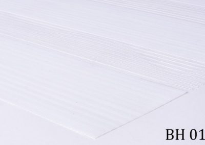 b_bh_01
