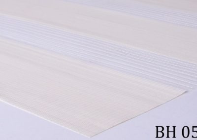 b_bh_05