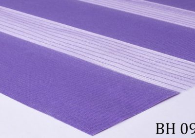 b_bh_09