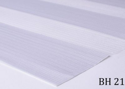 b_bh_21