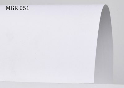 b_mgr051