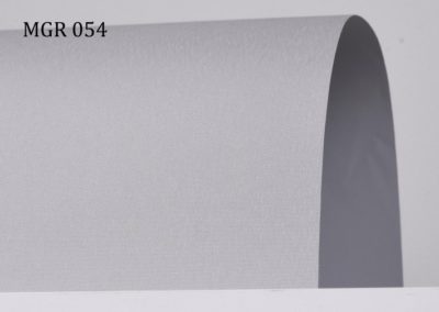 b_mgr054