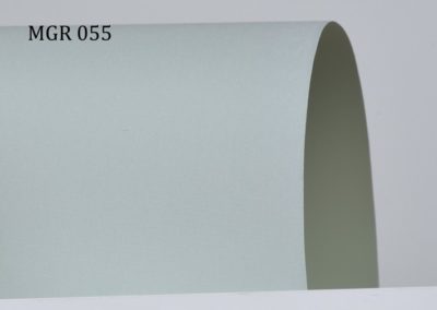 b_mgr055