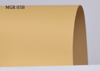b_mgr058