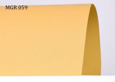 b_mgr059