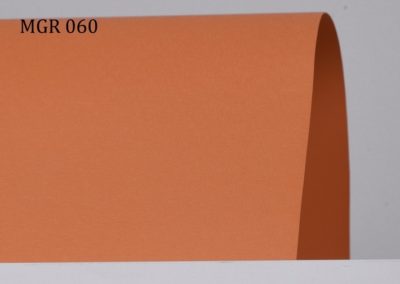 b_mgr060
