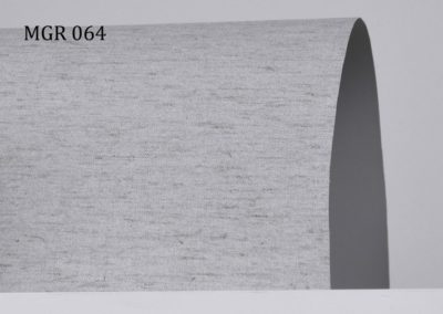 b_mgr064