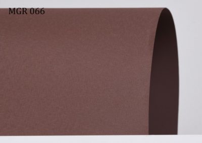 b_mgr066